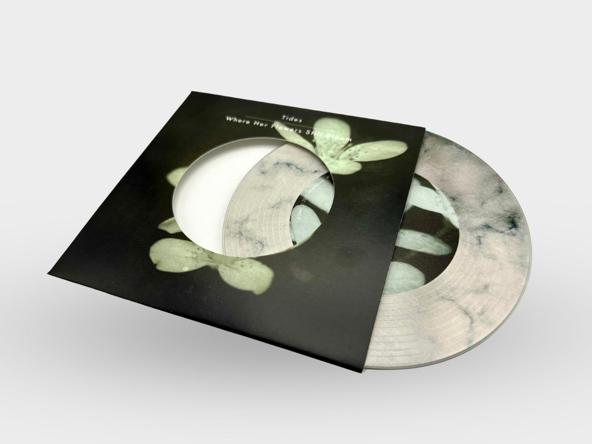 w.o.d. F.L.O.W.E.R.S. CD 2016 邦楽 w.o.d. F.L.O.W.E.R.S. CD 2016