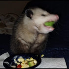 andrewhasnicelegs thumbnail