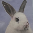 savsatori thumbnail