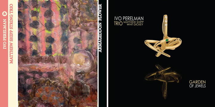 Armageddon Flower | Ivo Perelman & Matthew Shipp String Trio