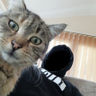 prokletsam thumbnail