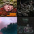 wk2121 thumbnail