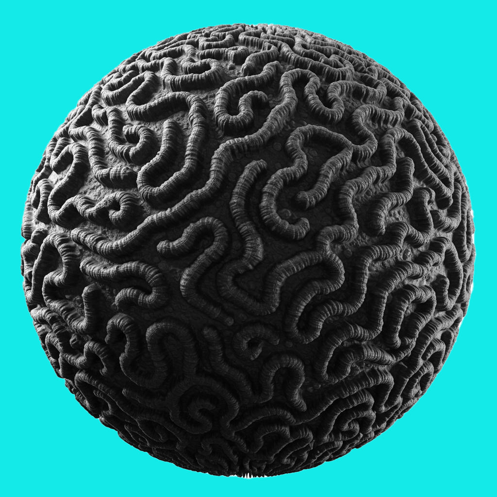 Music | braincoral records