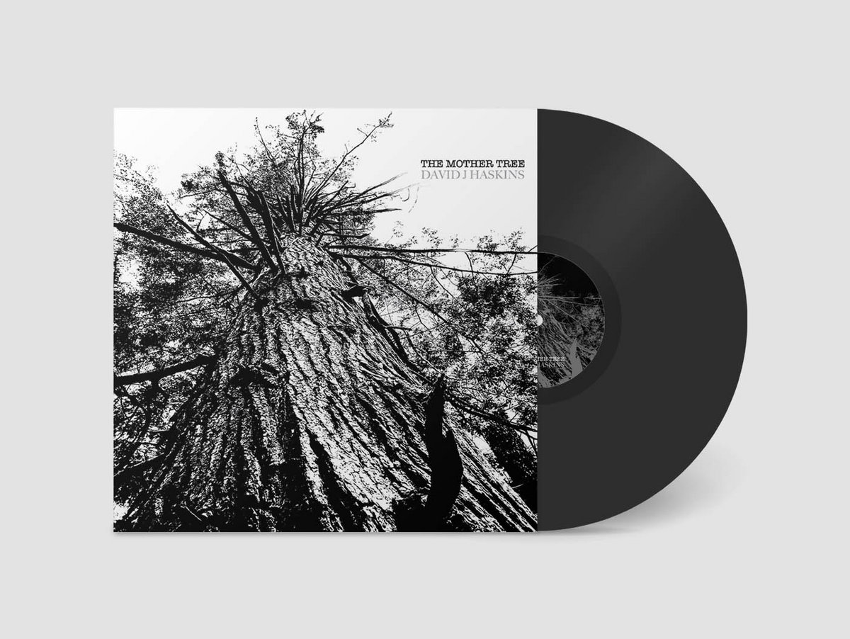 Tara Books “The Antler Tree” The Antler Tree — Samuel Thomas