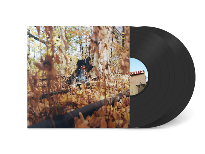 【日本限定盤】billy woods - GOLLIWOG 2LP OBI billy woods 'GOLLIWOG -JAPAN EDITION-' – BIG LOVE RECORDS
