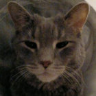 cheesebun thumbnail
