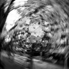 KENTARO MORI thumbnail