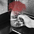 Yeast Infection photo