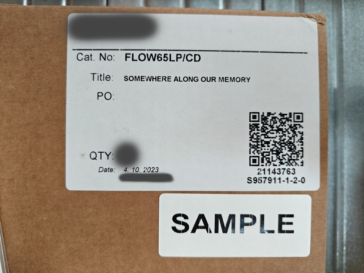 Test Press Limited Edition Double black Vinyl GZ press