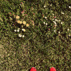 drop_out thumbnail
