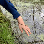 MerijnCarlier thumbnail