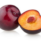 plummusic thumbnail
