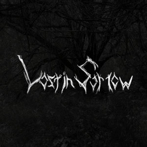 Cover of Lost in Sorrow