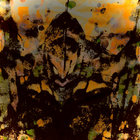 parukiya thumbnail