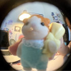 kartere thumbnail