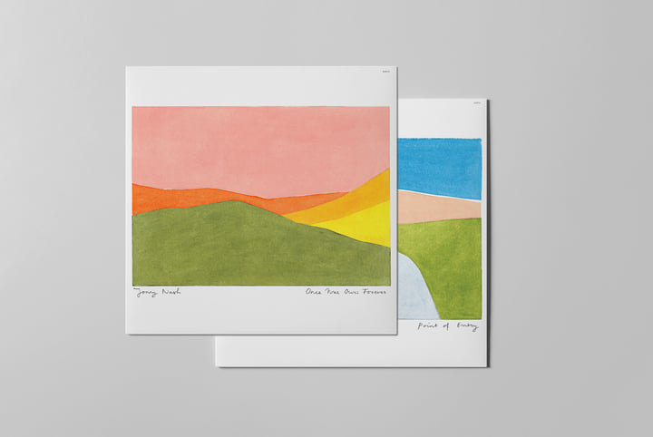 300枚限定 Jonny Nash - SNAKER 004 LPレコード - メルカリ