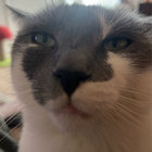 abe_0 thumbnail