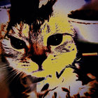 thomashutchison thumbnail