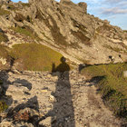 Walbu thumbnail