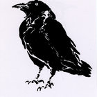 crowwithnomouth thumbnail