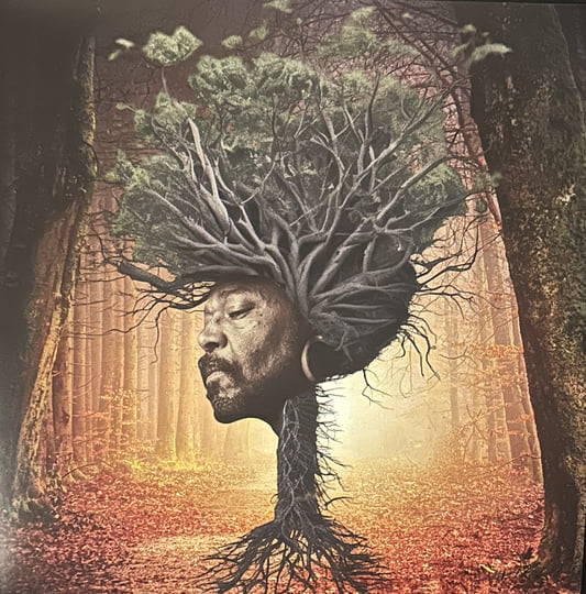 Inner Garden | Osunlade | Yoruba Records