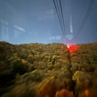 フランク thumbnail