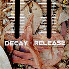 DecayAndRelease thumbnail