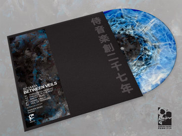 Collector's Special Edition 12" in Stickered Kanji Sleeve [pre order] main photo
