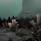 The Wiwaxian thumbnail