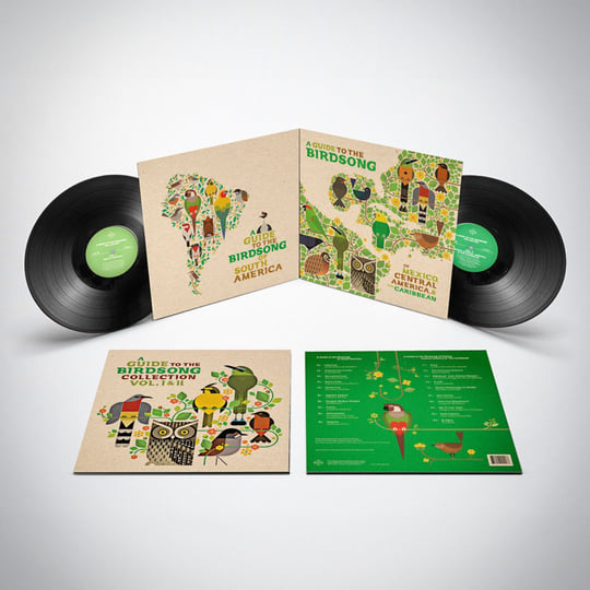 A Guide to the Birdsong of South America | Shika Shika