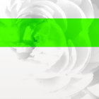 Wertyoo thumbnail