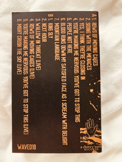 Demos + Live 2004-2007 | Flies Are Spies From Hell | A Cheery Wave