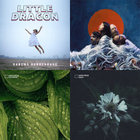 American Interior (2025 Remastered Bonus Edition) | Gruff Rhys