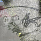 Ellen Kissman thumbnail