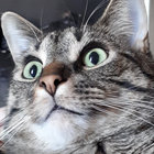 McLeody thumbnail