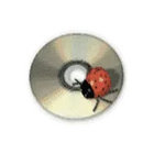 clepsydra | chouchou merged syrups. | Zankyo Record