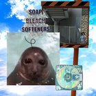 elly thumbnail