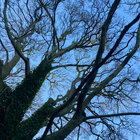 maggie789 thumbnail