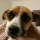 elaina thumbnail