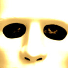 rexid thumbnail