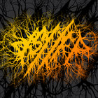 ds//fp records thumbnail