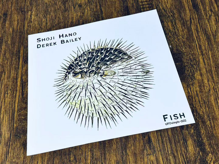 Fish | Shoji Hano 羽野昌二 & Derek Bailey | UFO CREAtions