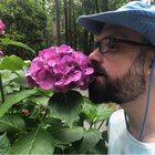 diwilliwid thumbnail