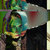 Trixxy thumbnail
