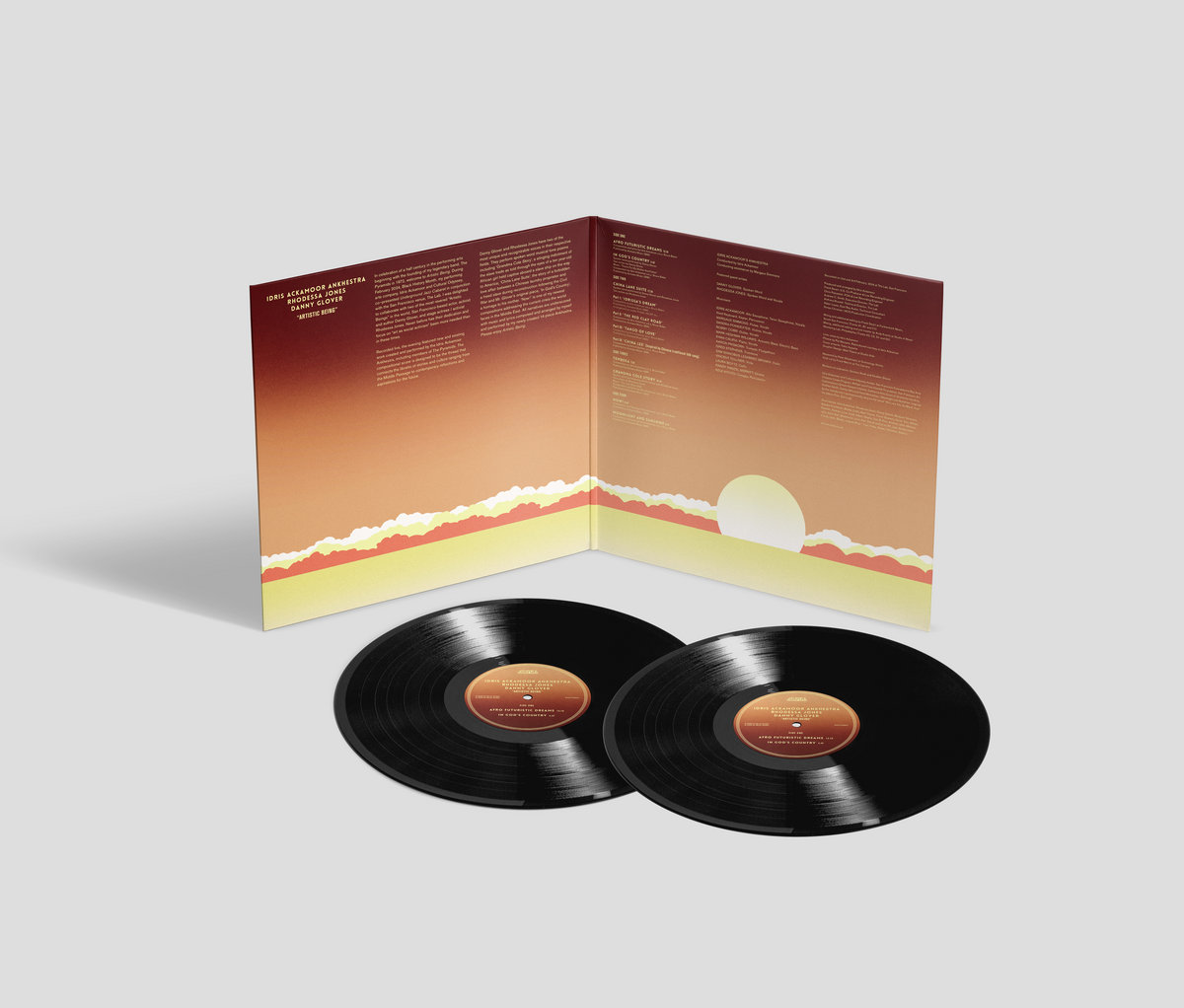2LP Idris Ackamoor Ankhestra , Rho Artistic Being STRUT483LP Strut 未開封 /00660 Artistic Being | Idris Ackamoor, Rhodessa Jones, Danny