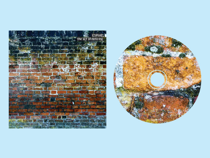 邦楽 Naoco & The Infections Seed of wish CD 邦楽 Naoco & The Infections Seed of wish CD 邦楽 Naoco & The