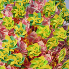 rollingrolling  thumbnail