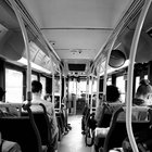 krokortila thumbnail