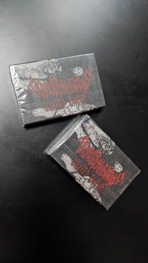 DECOMPOSITION OF ENTRAILS - PERVERTED TORMENTS (2013) Slamming