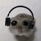 dj.hamster thumbnail